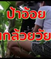 คลิปหนังx ป้าอ้อยสุดเงี่ยน จับวัยรุ่นอมควยจนแทบแตกคาปาก แล้วเปิดหีให้เอาน้ำควยพ่นใส่หี  