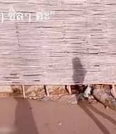 คลิปโป๊โอลี่แฟน สาวไทยโดนแฟนจับเย็ดทำคอนเทนต์ xxx เย็ดริมชายหาด  