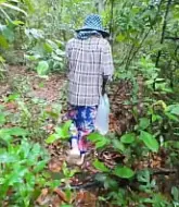 หนังXไทยสาวไทยเข้าป่าเก็บเห็ดโคน xxxโดนหนุ่มเดินป่าทำคอนเทนต์จับเย็ดหีกลางป่าดูหนังโป๊ onlyfans xxx  